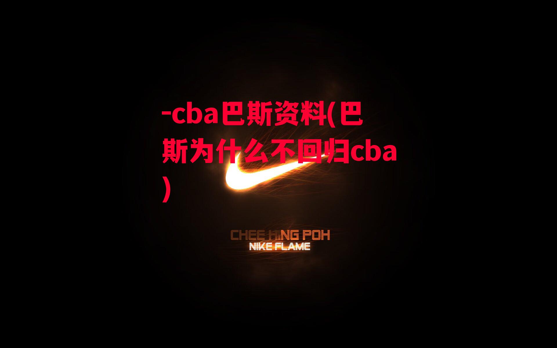 cba巴斯资料(巴斯为什么不回归cba)